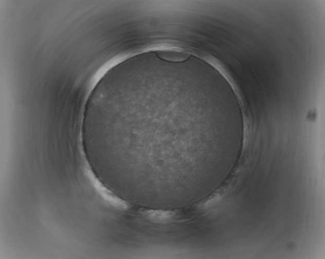 X0000112970861200908271140