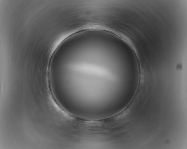 X0000112970863200908271140