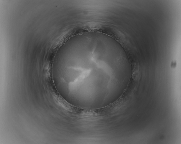 X0000112970866200908271140