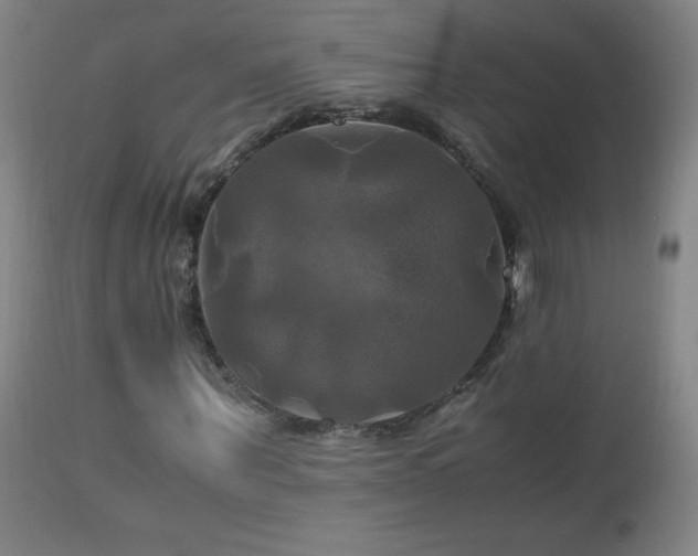 X0000112970867200908271140