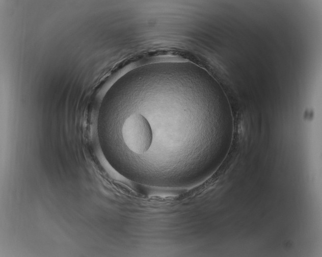 X0000112970868200908271140