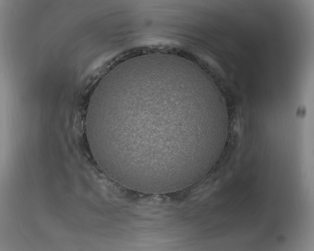 X0000112970869200908271139