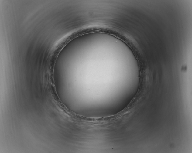X0000112970872200908271139