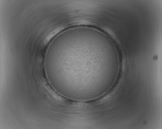 X0000112970873200908271139