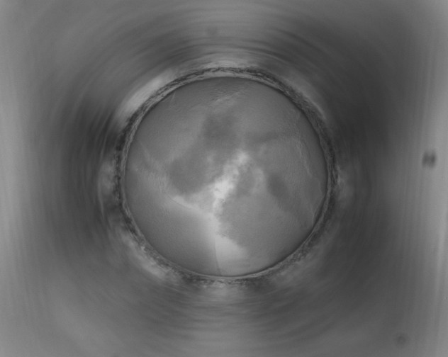 X0000112970874200908271139