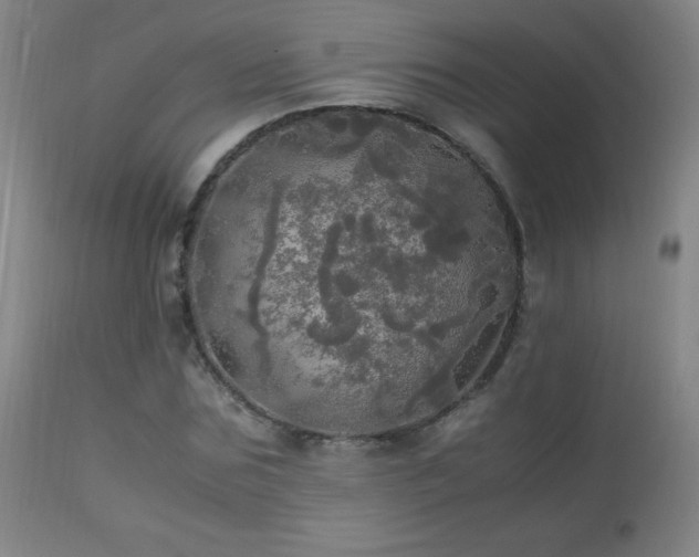 X0000112970875200908271139
