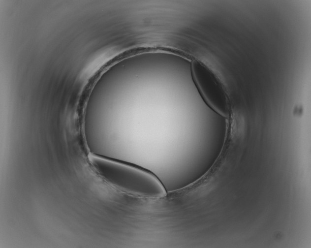 X0000112970876200908271139