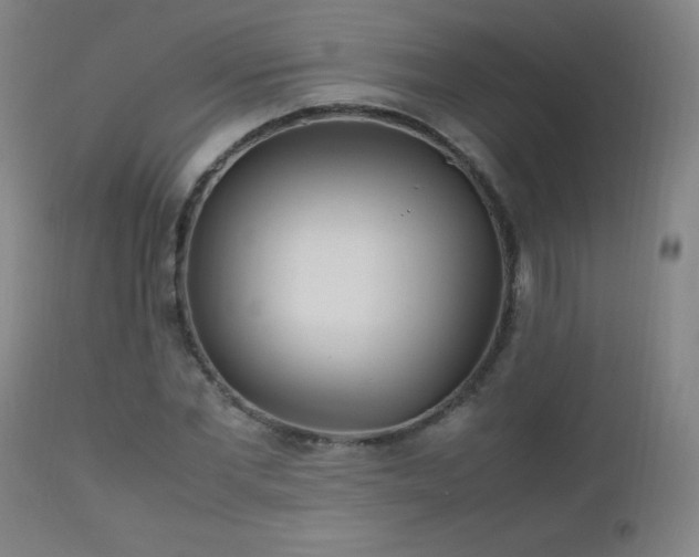 X0000112970877200908271139