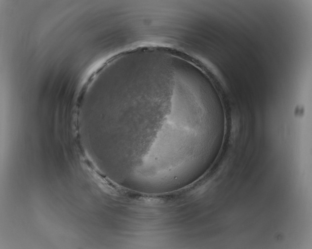 X0000112970878200908271139