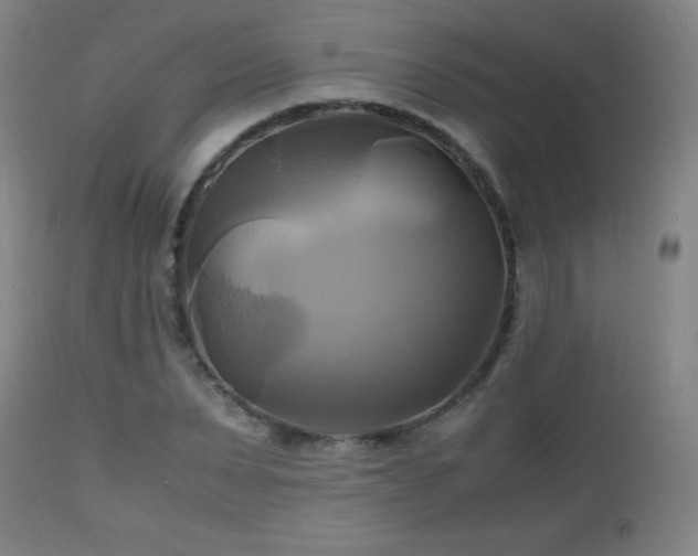 X0000112970879200908271139