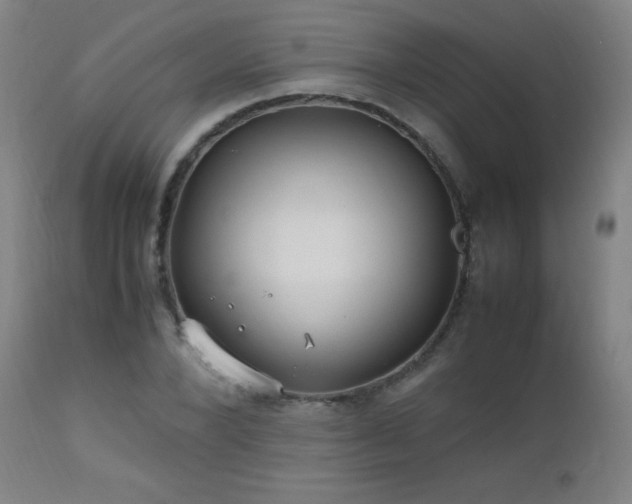 X0000112970880200908271139