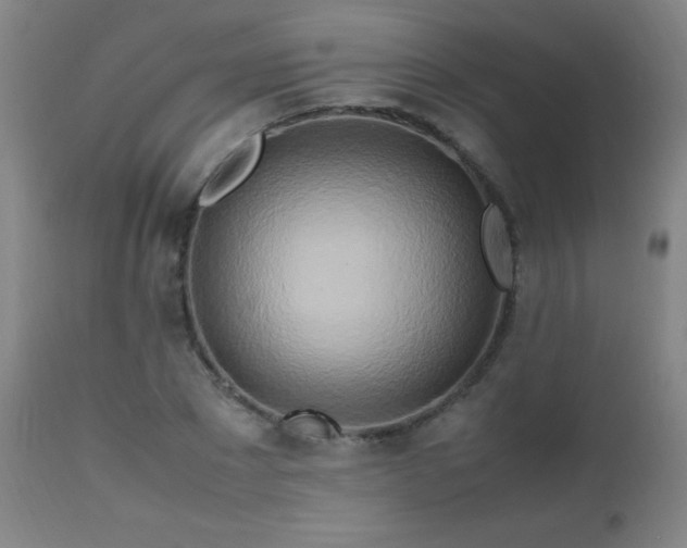 X0000112970881200908271139