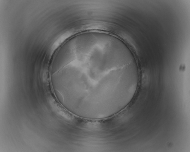 X0000112970882200908271139