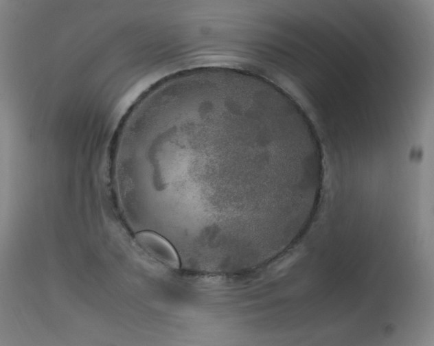 X0000112970883200908271139