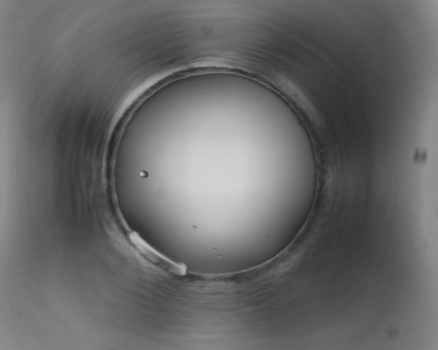 X0000112970884200908271139