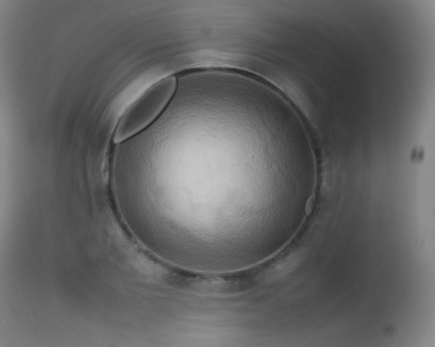 X0000112970885200908271139