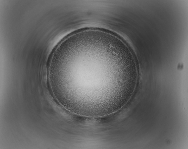 X0000112970887200908271139