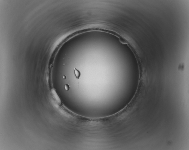 X0000112970888200908271139