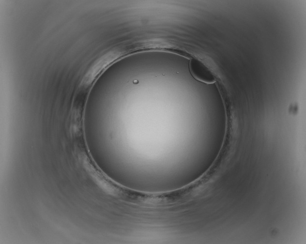 X0000112970889200908271139