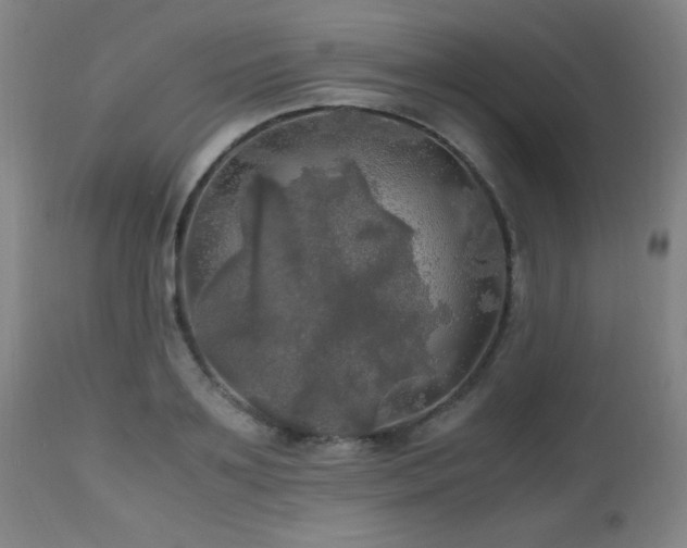 X0000112970891200908271139