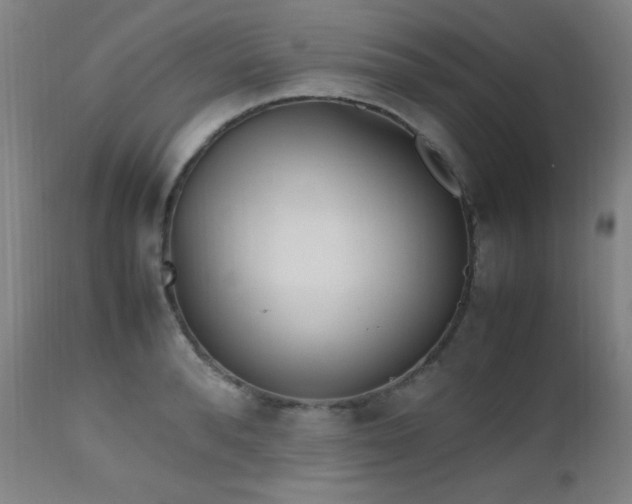 X0000112970896200908271139