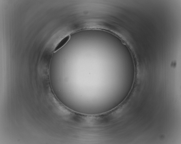 X0000112970897200908271139