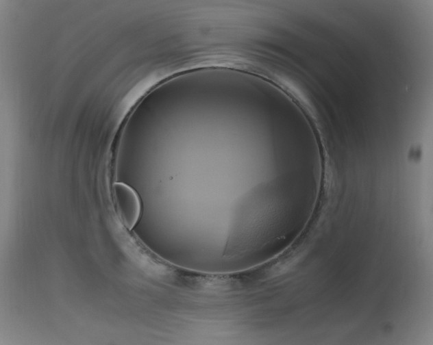 X0000112970899200908271139