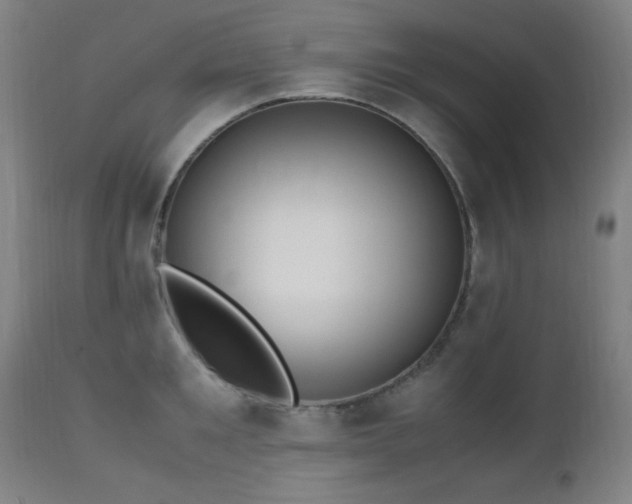 X0000112970901200908271139