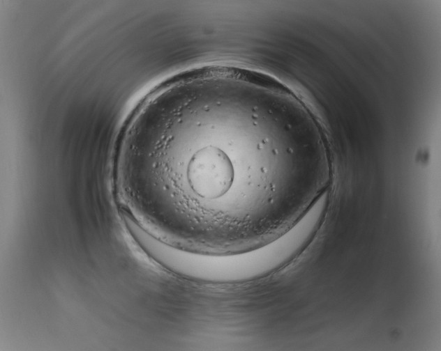 X0000112970904200908271139