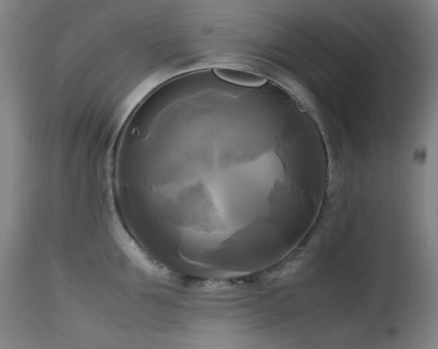 X0000112970907200908271139