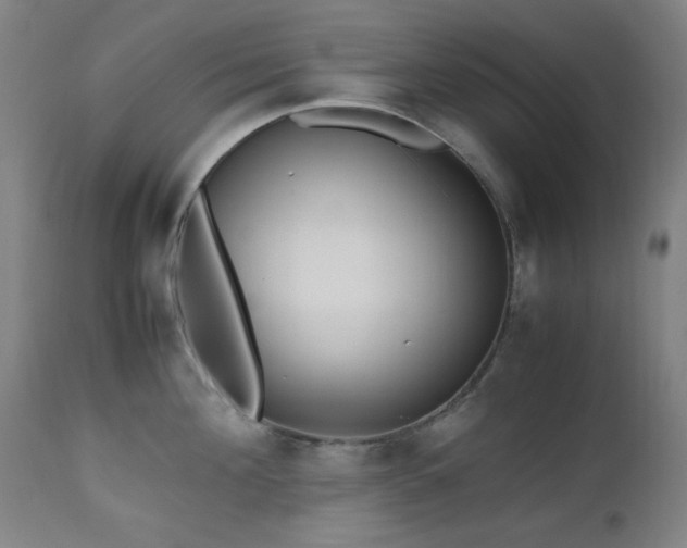 X0000112970908200908271139