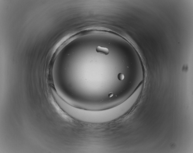 X0000112970909200908271139