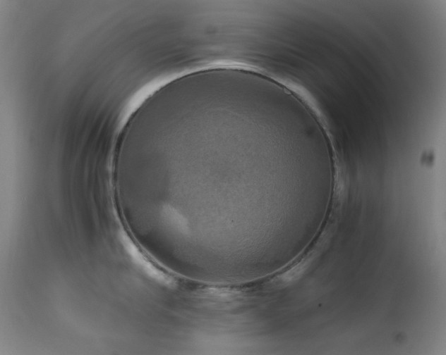 X0000112970910200908271139
