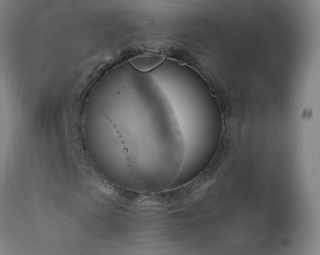 X0000112970913200908271138