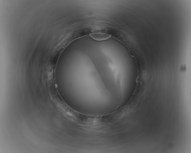 X0000112970914200908271138