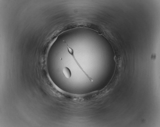 X0000112970916200908271138