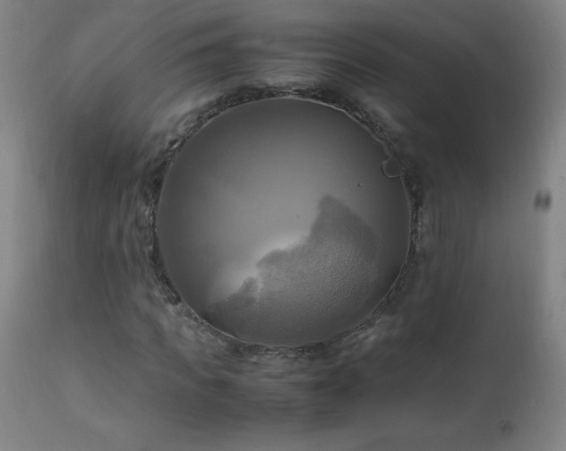 X0000112970917200908271138