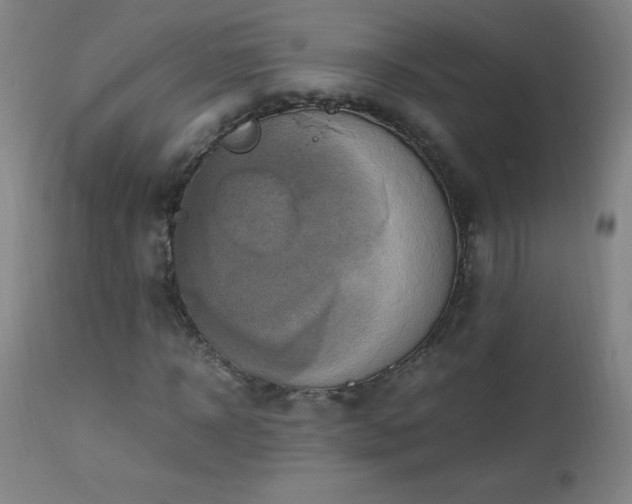 X0000112970918200908271138