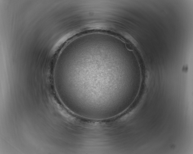 X0000112970922200908271138
