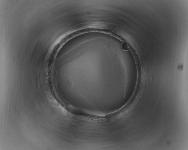 X0000112970923200908271138