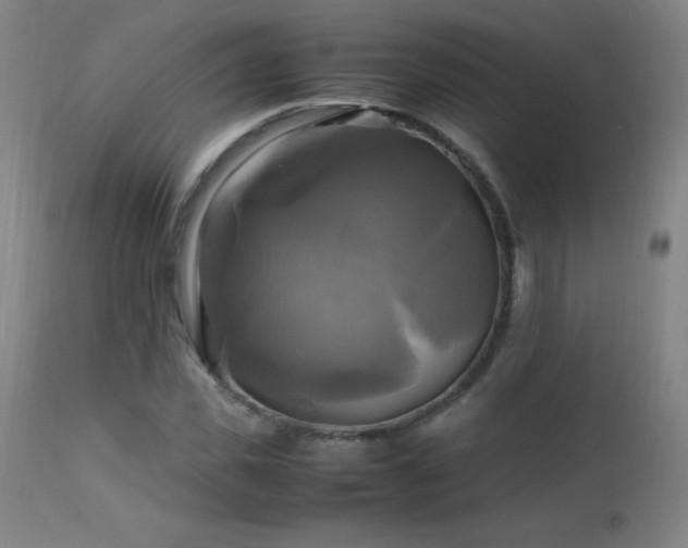 X0000112970925200908271138