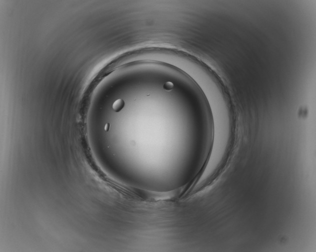 X0000112970926200908271138