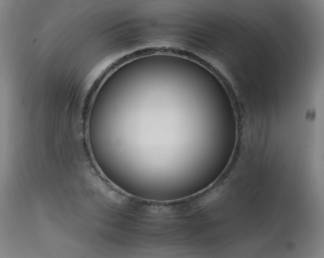 X0000112970927200908271138