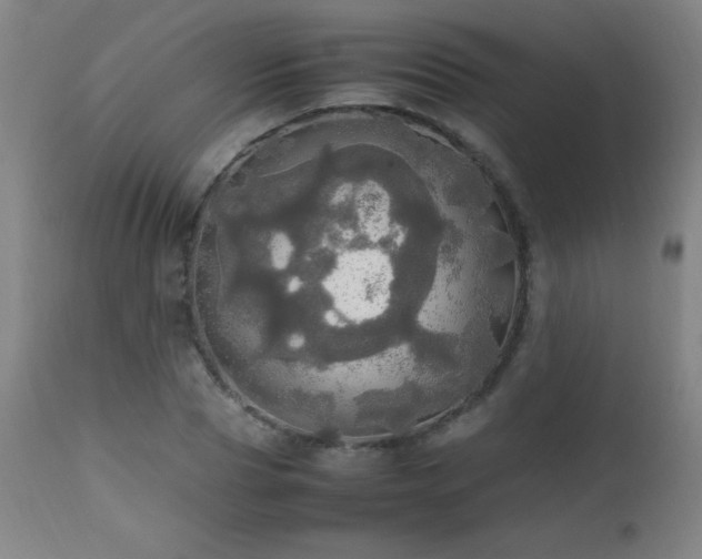 X0000112970929200908271138