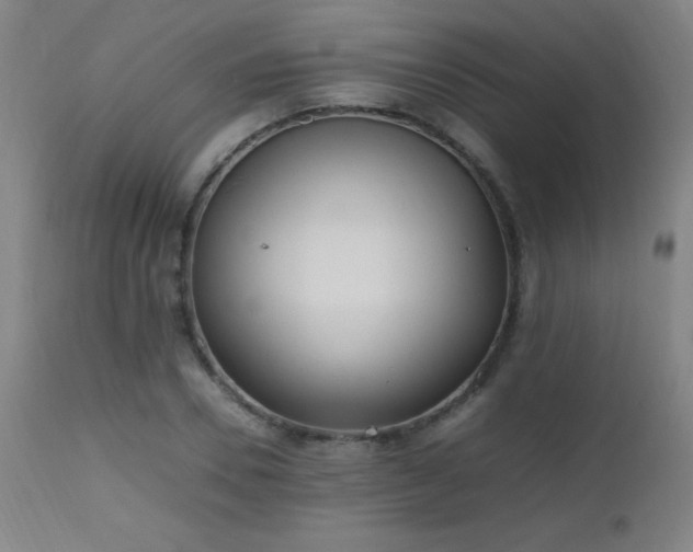 X0000112970930200908271138