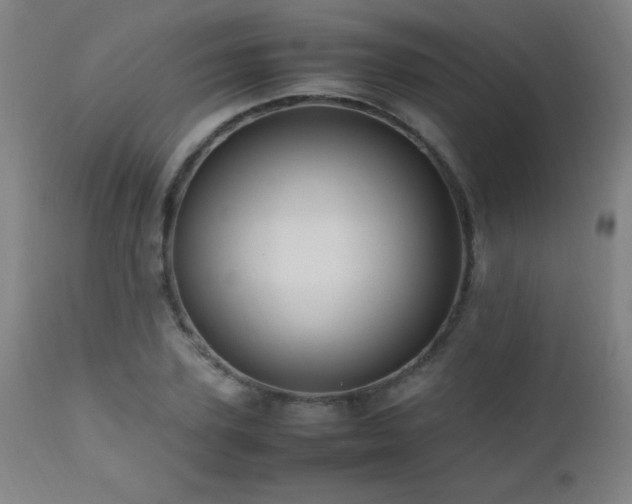 X0000112970931200908271138