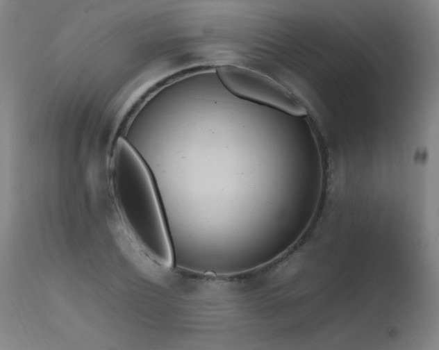 X0000112970932200908271138