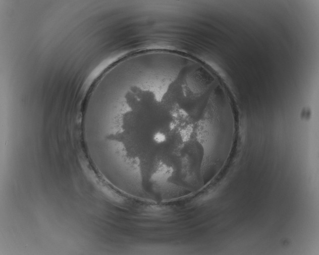 X0000112970933200908271138