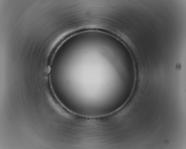 X0000112970934200908271138