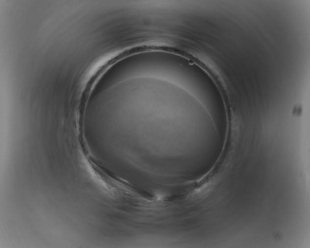 X0000112970935200908271138